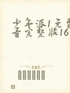 少年派1免费观看完整版16集
