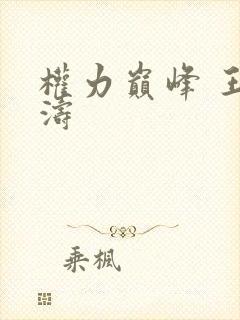 权力巅峰 王洪涛