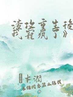 渣攻重生后,把我宠疯了》