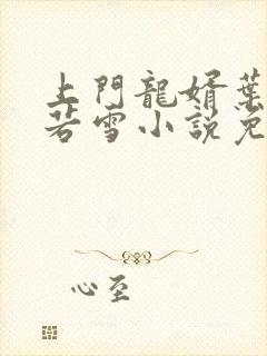 上门龙婿叶凡唐若雪小说免费阅读