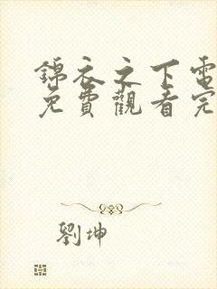 锦衣之下电视剧免费观看完整版高清