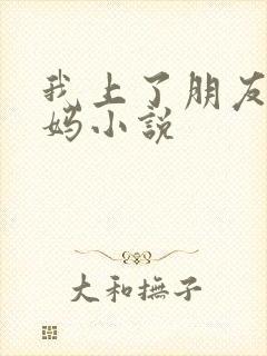 我上了朋友的妈妈小说
