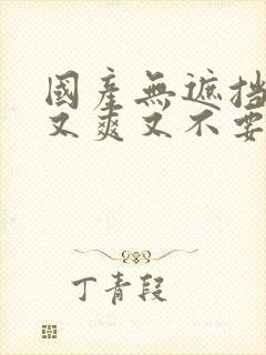 国产无遮挡又黄又爽又不要vip