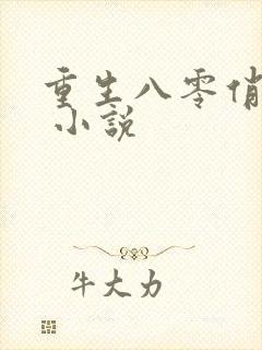 重生八零俏佳妻 小说
