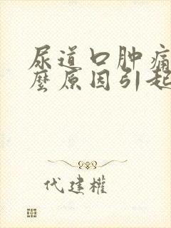 尿道口肿痛是什么原因引起的