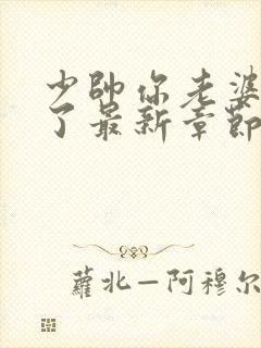 少帅你老婆又跑了最新章节列表