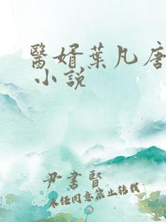 医婿叶凡唐若雪 小说