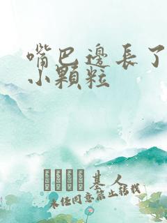 嘴巴边长了很多小颗粒