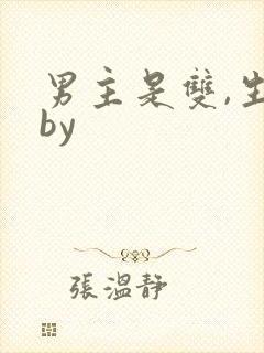男主是双,生子by