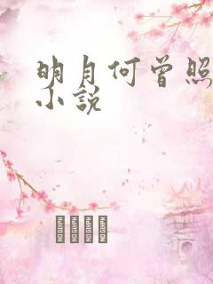 明月何曾照清欢小说