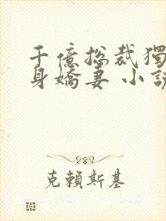 千亿总裁独宠替身娇妻 小说完整