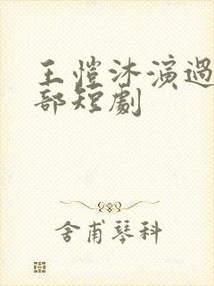 王恺沐演过的全部短剧