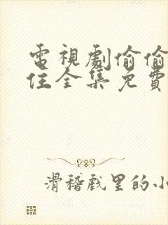 电视剧偷偷藏不住全集免费