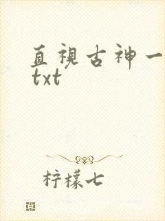 直视古神一整年 txt