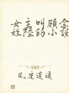 女主叫顾念男主姓陆的小说