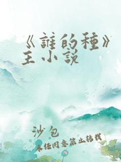 《谁的种》双男主小说