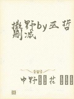 撒野by巫哲未删减