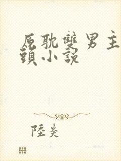 原耽双男主死对头小说