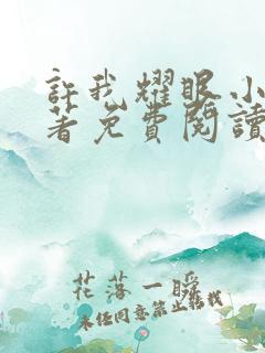 许我耀眼小说原著免费阅读