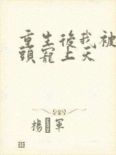 重生后我被死对头宠上天