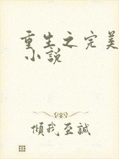 重生之完美未来 小说