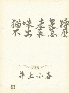 猫咪老是蹲着尿不出来怎么办