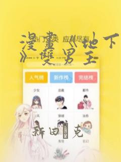 漫画《地下偶像》双男主