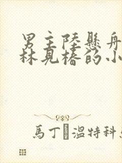 男主陆悬舟女主林见椿的小说