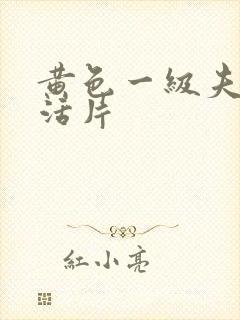 黄色一级夫妻生活片