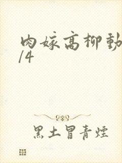 肉嫁高柳动漫1/4