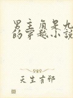 男主角是九皇子的穿越小说