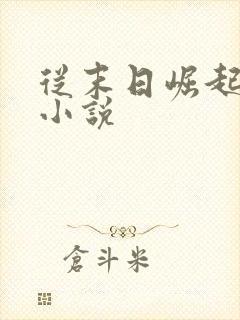 从末日崛起左凡小说