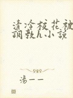 清冷校花被屈辱调教h小说