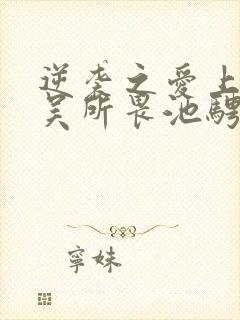 逆袭之爱上情敌吴所畏池骋小说免费下载