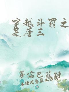 穿越斗罗之我弟是唐三