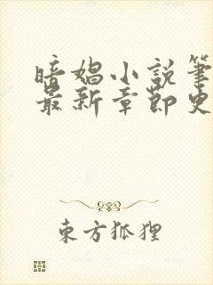 暗娼小说笔趣阁最新章节更新