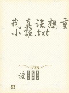 我真没想重生啊小说.txt