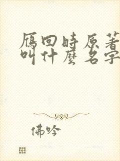 雁回时原著小说叫什么名字