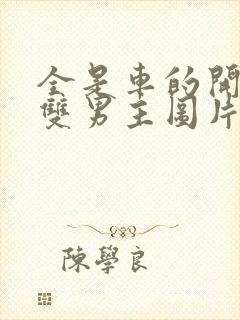 全是车的开车的双男主图片