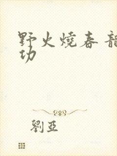 野火烧春 龙鸣功