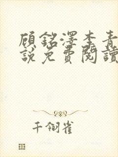 顾铭泽李青妍小说免费阅读最新章节