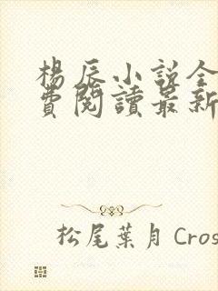 杨辰小说全文免费阅读最新章节