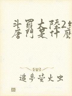 斗罗大陆2绝世唐门是什么时候出的