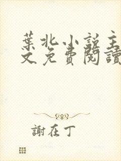 叶北小说主角全文免费阅读