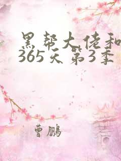 黑帮大佬和我的365天第3季