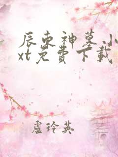 辰东神墓小说txt免费下载