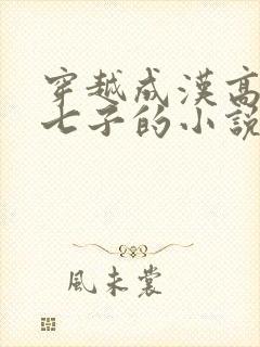 穿越成汉高祖第七子的小说