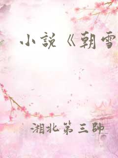 小说《朝雪录》
