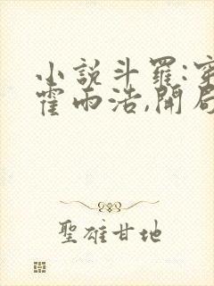 小说斗罗:穿越霍雨浩,开局拜师药老大结局