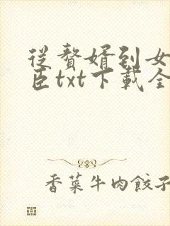 从赘婿到女帝宠臣txt下载全文下载